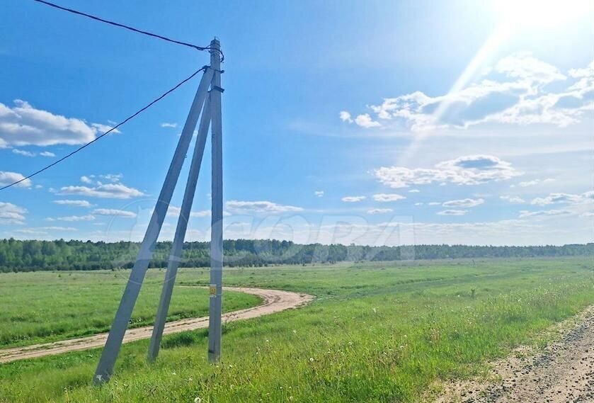 земля р-н Тюменский с Ембаево ул Мира Тюмень фото 3