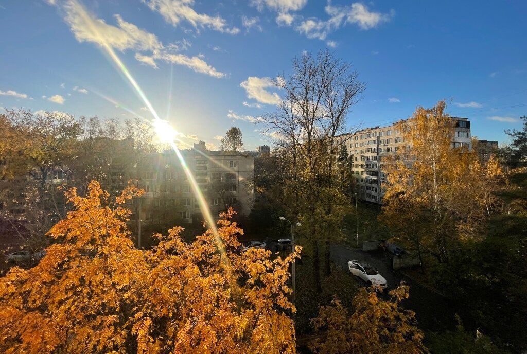 квартира г Санкт-Петербург метро Проспект Славы ул Димитрова 16к/3 фото 6