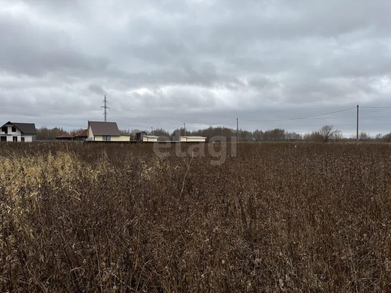 земля г Архангельск ул Мира фото 6