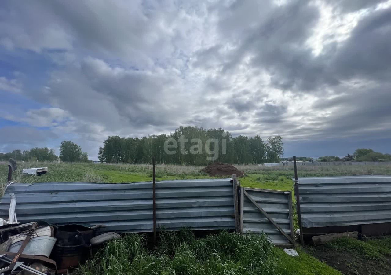 земля р-н Коченевский д Буньково ул Молодежная Чик фото 29