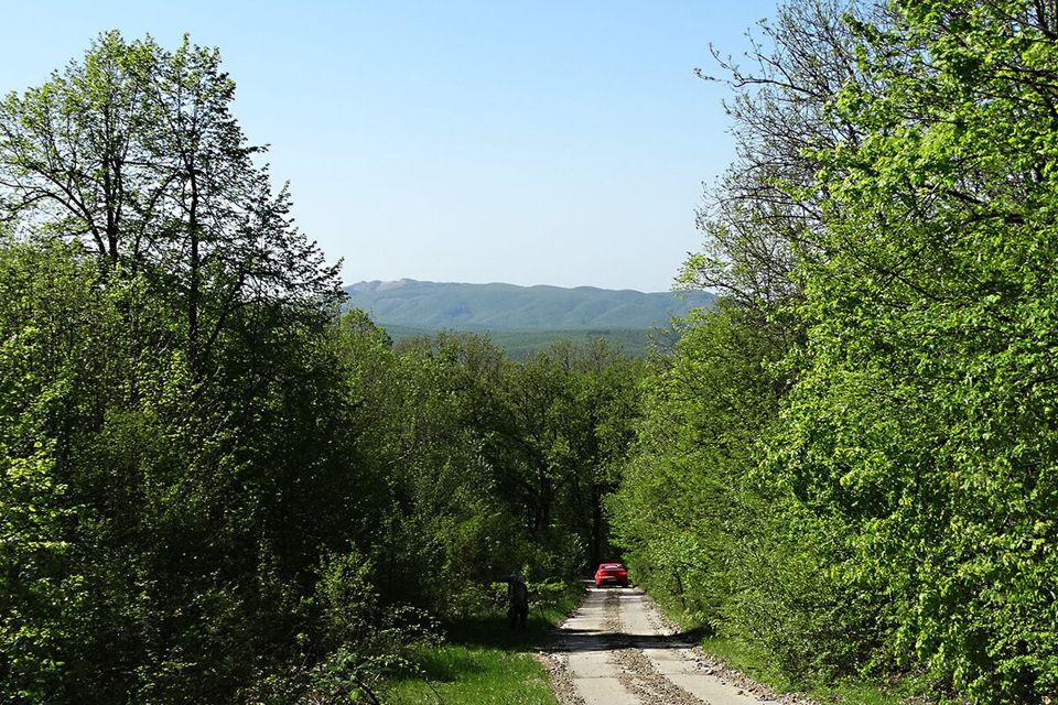 земля р-н Северский посёлок городского типа Ильский фото 4