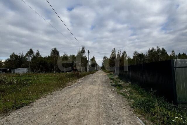 снт Светлячок городской округ Тюмень, 2-я улица фото