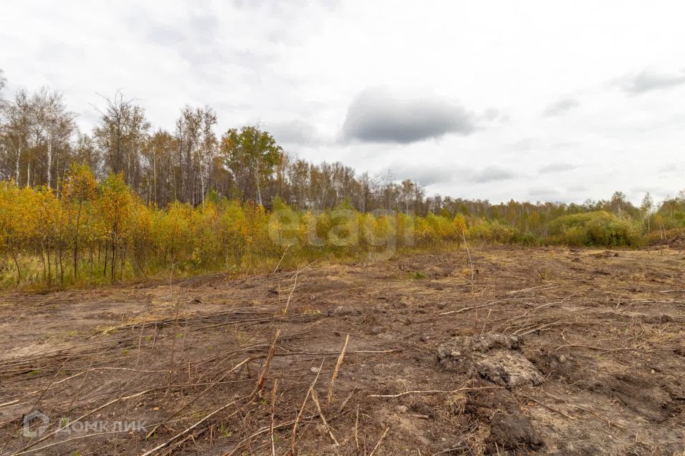 земля г Тюмень снт Зеленая Роща городской округ Тюмень, 8-я улица, 2 фото 4