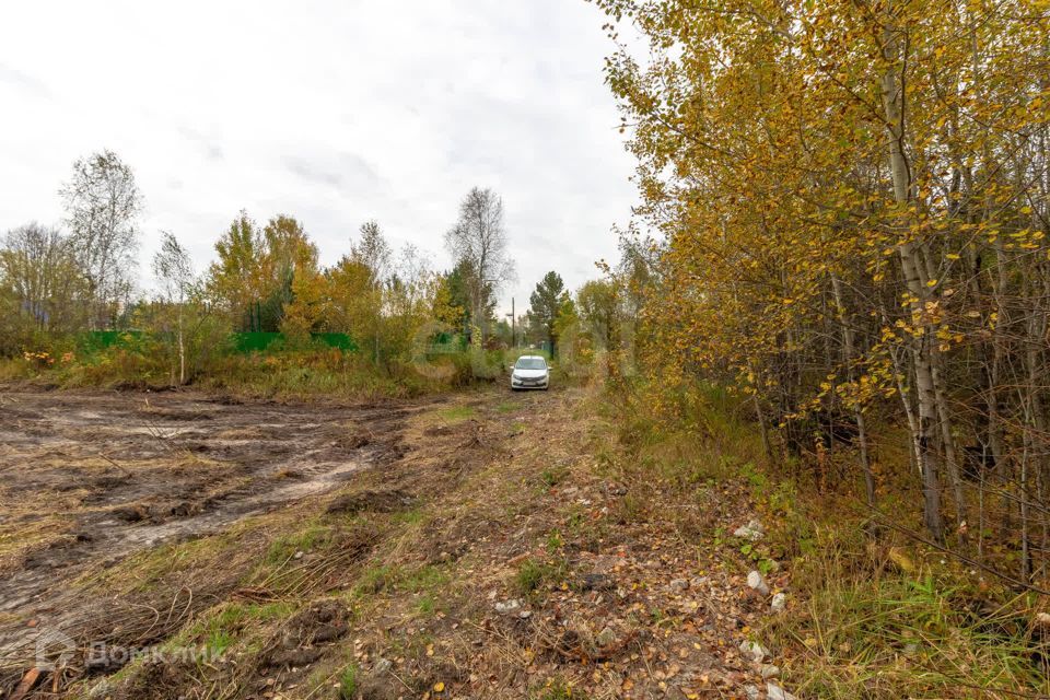 земля г Тюмень снт Зеленая Роща городской округ Тюмень, 8-я улица, 2 фото 3