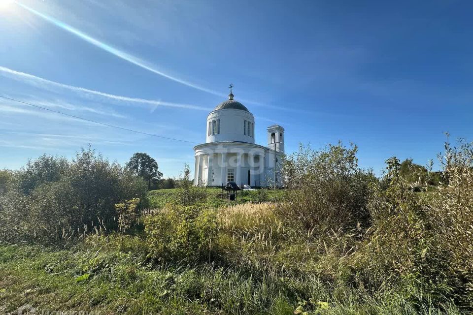 земля р-н Дальнеконстантиновский село Борисово-Покровское фото 2