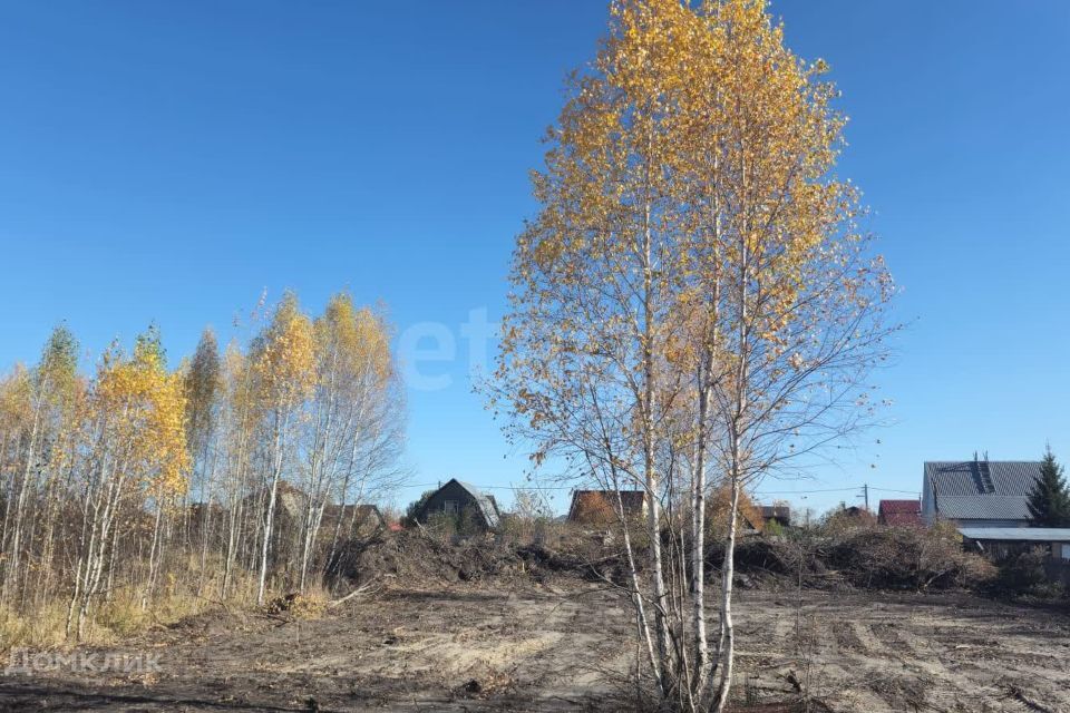 земля г Тюмень городской округ Тюмень, СО Виктория-1 фото 5