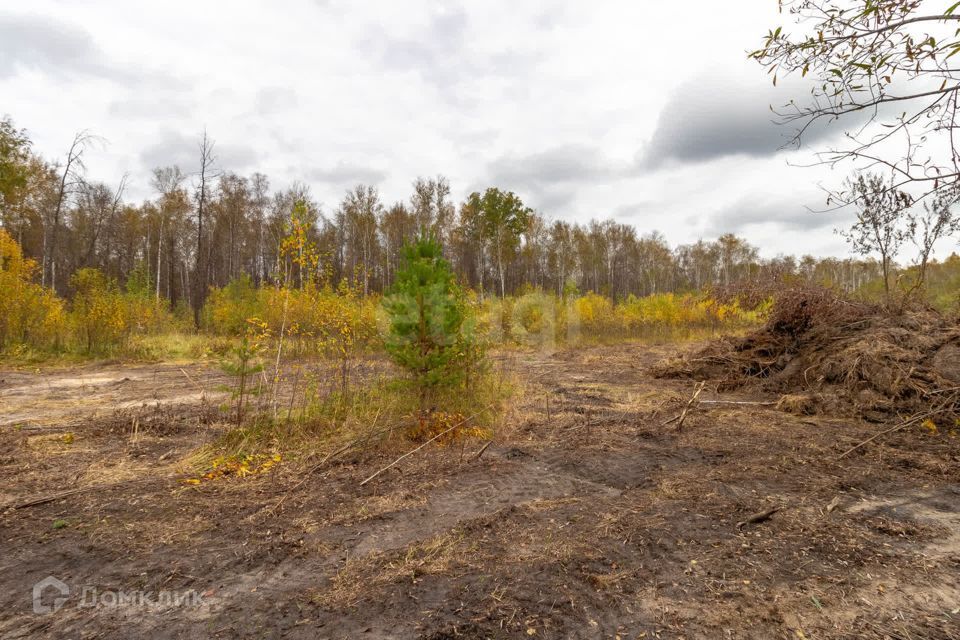 земля г Тюмень снт Зеленая Роща городской округ Тюмень, 8-я улица, 2 фото 6