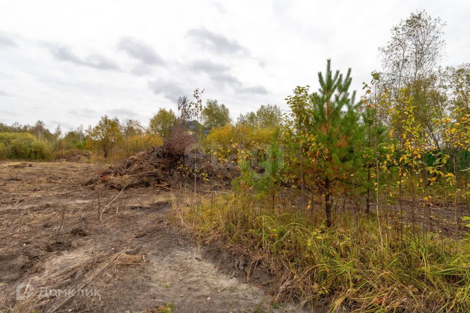 земля г Тюмень снт Зеленая Роща городской округ Тюмень, 8-я улица, 2 фото 7