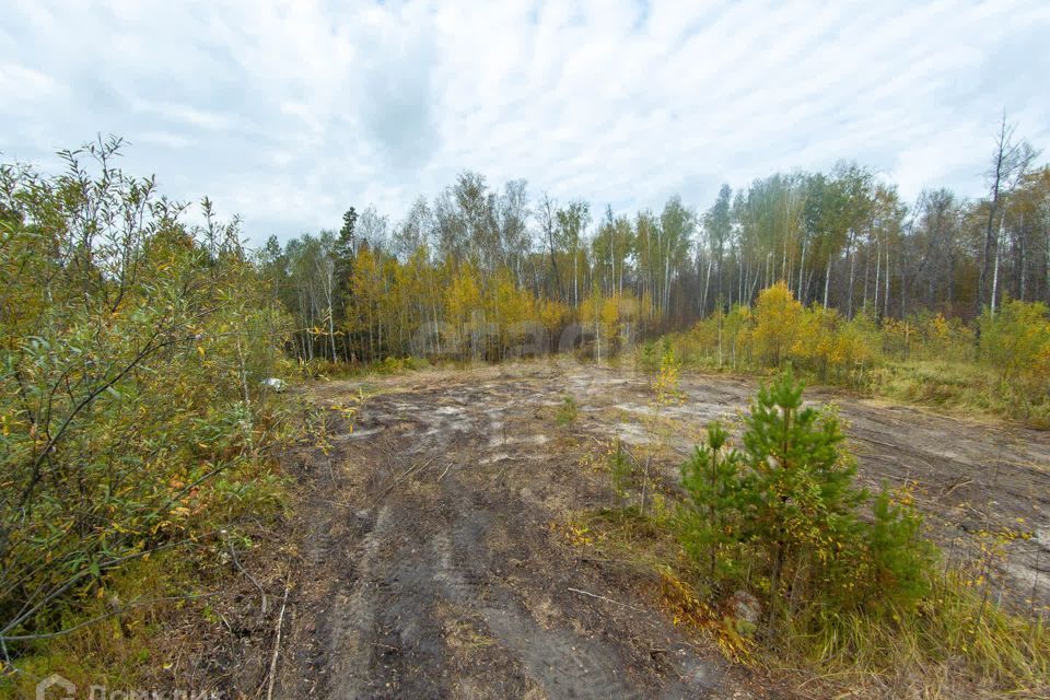 земля г Тюмень снт Зеленая Роща городской округ Тюмень, 8-я улица, 2 фото 9