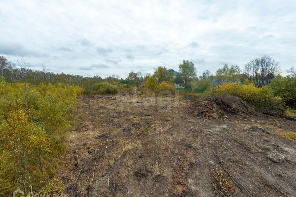 земля г Тюмень снт Зеленая Роща городской округ Тюмень, 8-я улица, 2 фото 6