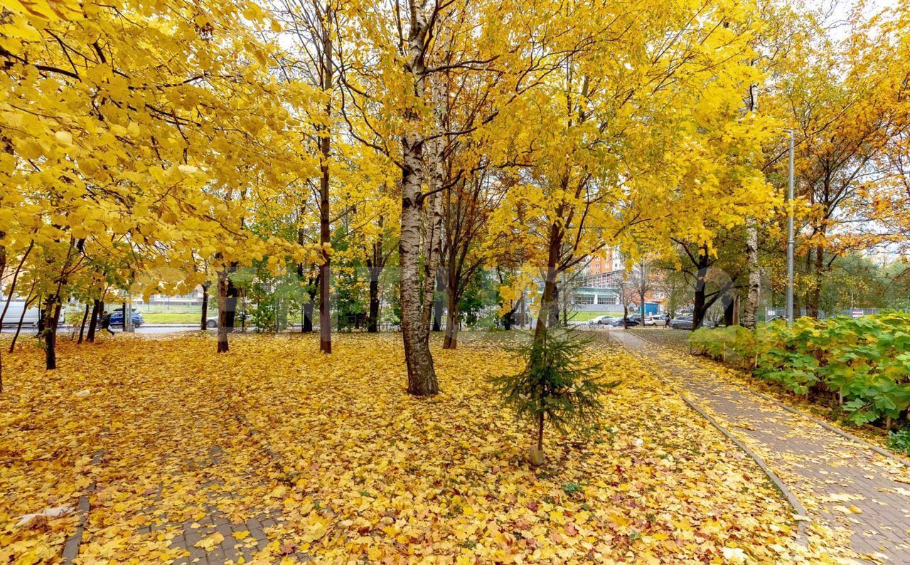 квартира г Санкт-Петербург метро Проспект Просвещения ул Руднева 9к/1 фото 17