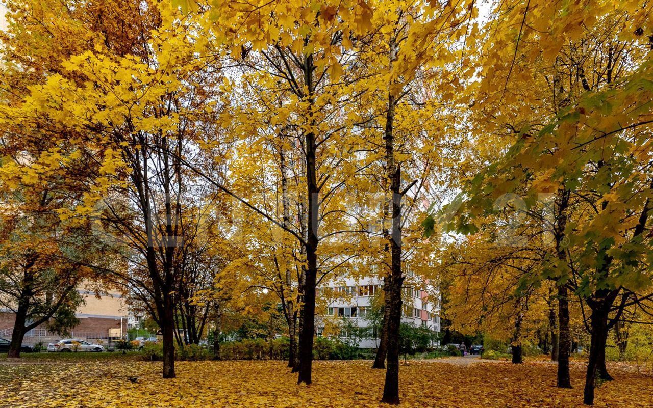 квартира г Санкт-Петербург метро Проспект Просвещения ул Руднева 9к/1 фото 15