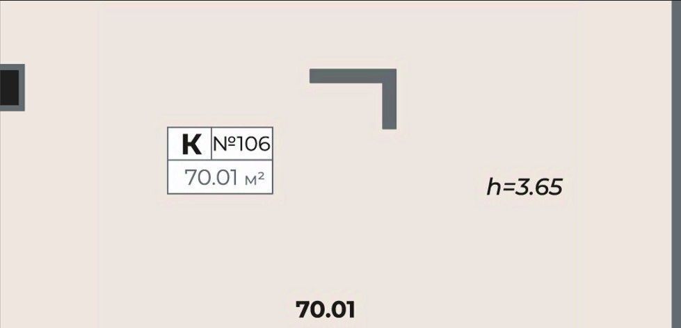 свободного назначения г Санкт-Петербург метро Обводный Канал 1 пр-кт Лиговский 127 Владимирский округ фото 4