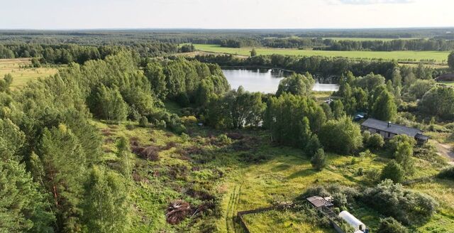 Республика Татарстан Татарстан, Большеключинское сельское поселение, Осиново фото