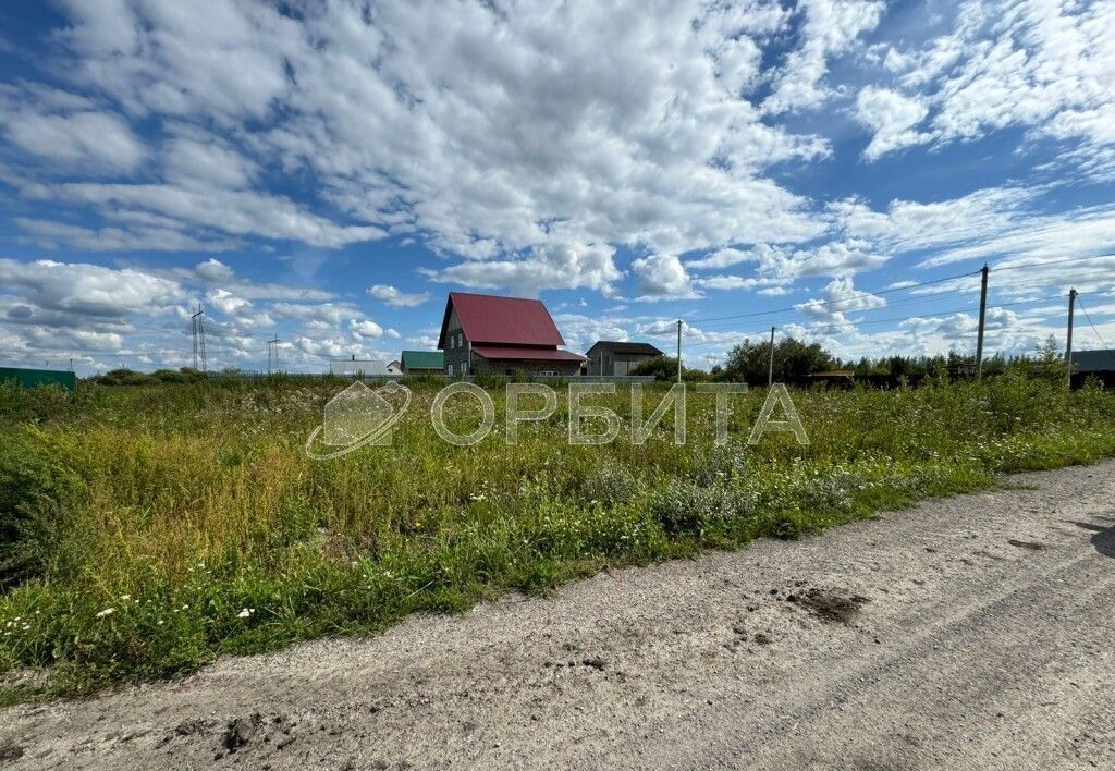 земля р-н Тюменский с Борки Каскара фото 4