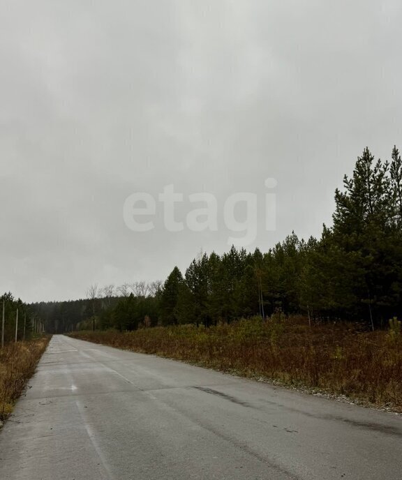 земля р-н Талицкий г Талица ул Луначарского фото 2