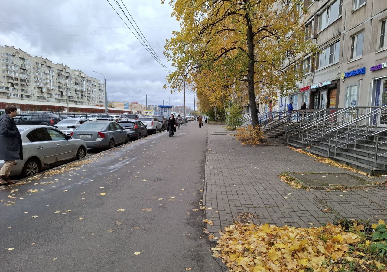 свободного назначения г Санкт-Петербург метро Проспект Просвещения пр-кт Энгельса 143к/1 округ Сергиевское фото 1