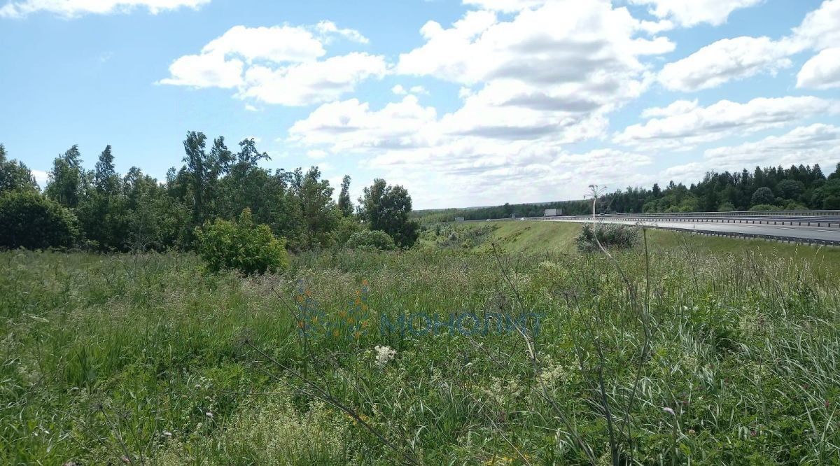 земля р-н Богородский д Крутец (Доскинский сельсовет) ул Светлая фото 3