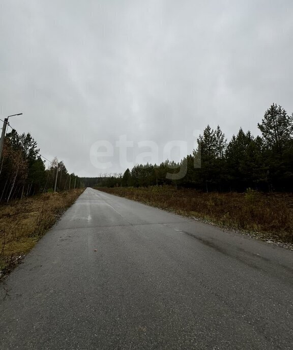 земля р-н Талицкий г Талица ул Луначарского фото 10