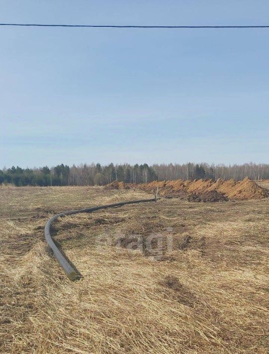 земля р-н Лаишевский с Сокуры фото 4