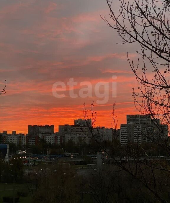 квартира г Пушкино ул Некрасова 2 Бабушкинская фото 27