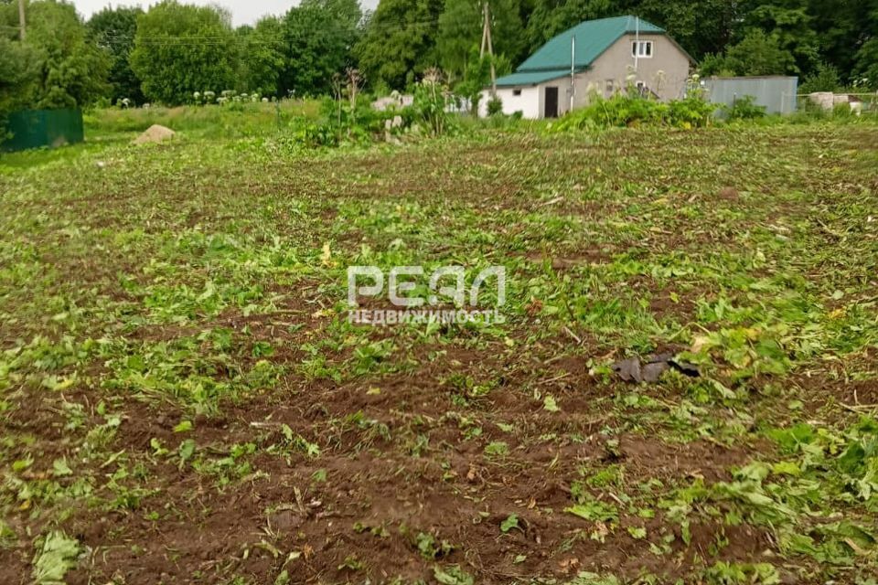 земля р-н Волосовский деревня Овинцево фото 1