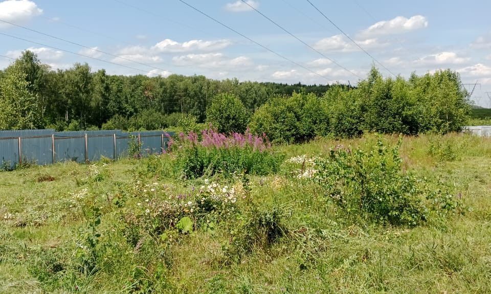 земля городской округ Чехов ТСН Лесная Элегия фото 1