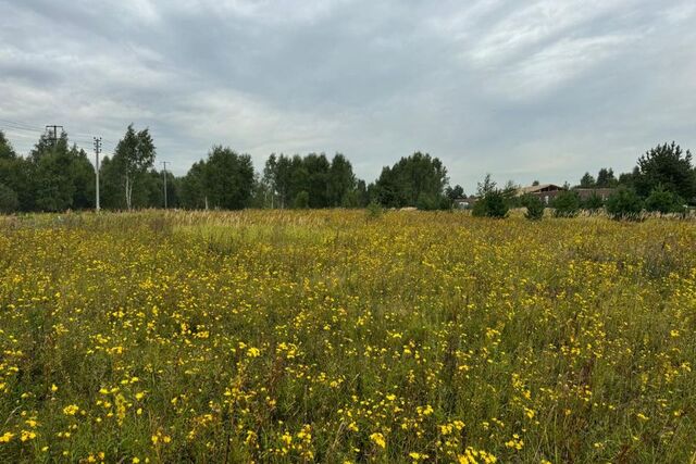 земля Раменский городской округ, Северный фото