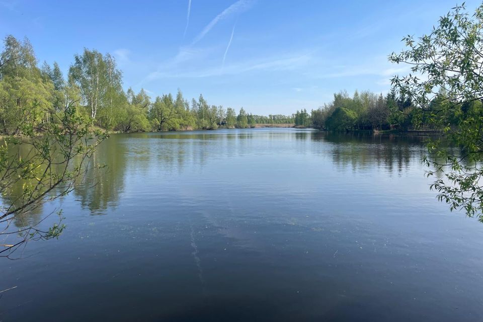 земля городской округ Раменский дачный посёлок Чистые Пруды фото 3