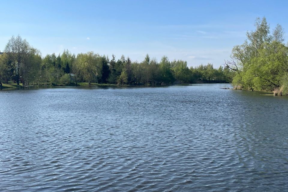 земля городской округ Раменский дачный посёлок Чистые Пруды фото 4