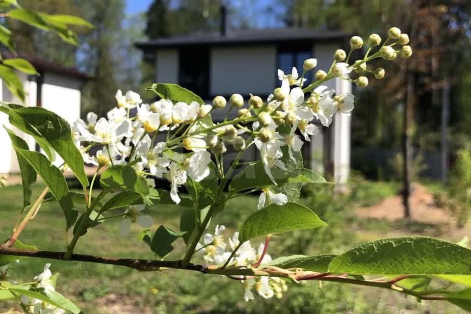 дом городской округ Щёлково Загорянский фото 2