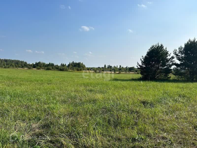 земля городской округ Серпухов ДНТ Лисенки фото 2