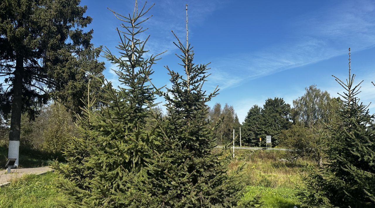 земля городской округ Рузский д Малые Горки ДНТ, Дмитровский городской округ фото 3