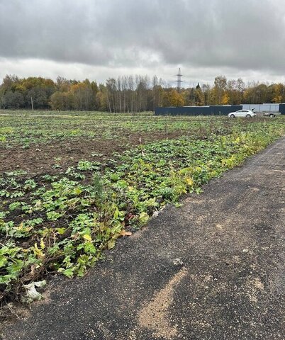 городской округ Клин фото