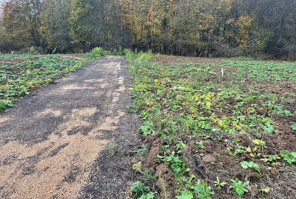 земля городской округ Дмитровский коттеджный поселок «Сорочаны» городской округ Клин фото 3