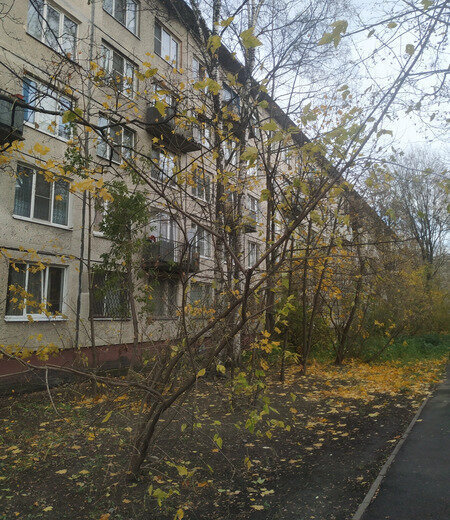 квартира г Санкт-Петербург метро Пролетарская Александровское ул Бабушкина 113к/1 округ Обуховский фото 1