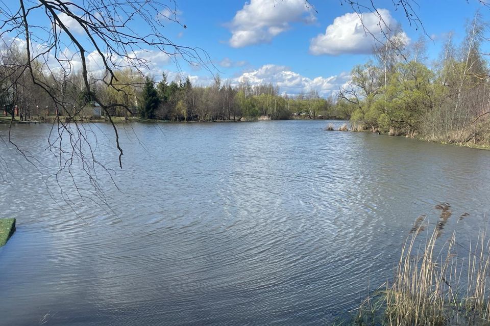 земля городской округ Раменский дачный посёлок Чистые Пруды фото 6