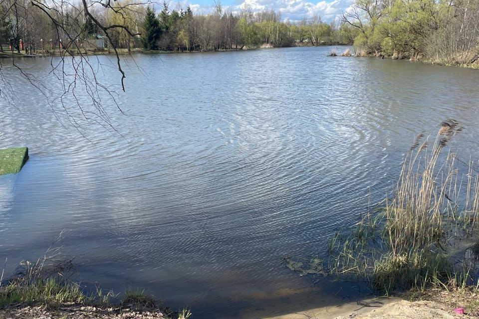 земля городской округ Раменский дачный посёлок Чистые Пруды фото 7