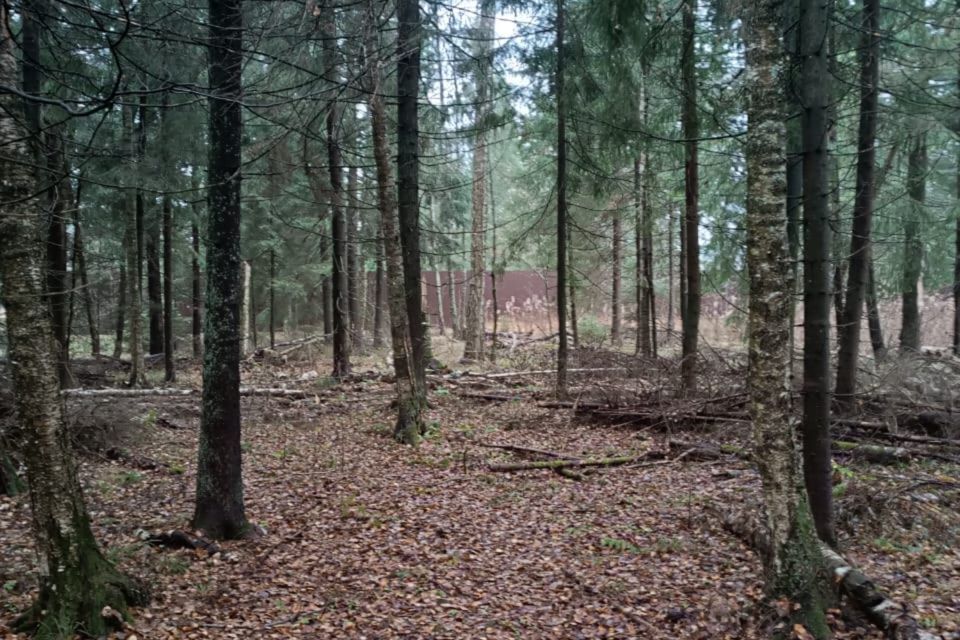 земля городской округ Раменский днп Топаз 314, Одинцовский городской округ фото 9