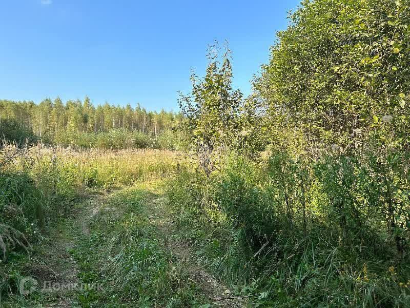 земля городской округ Серпухов ДНТ Лисенки фото 6