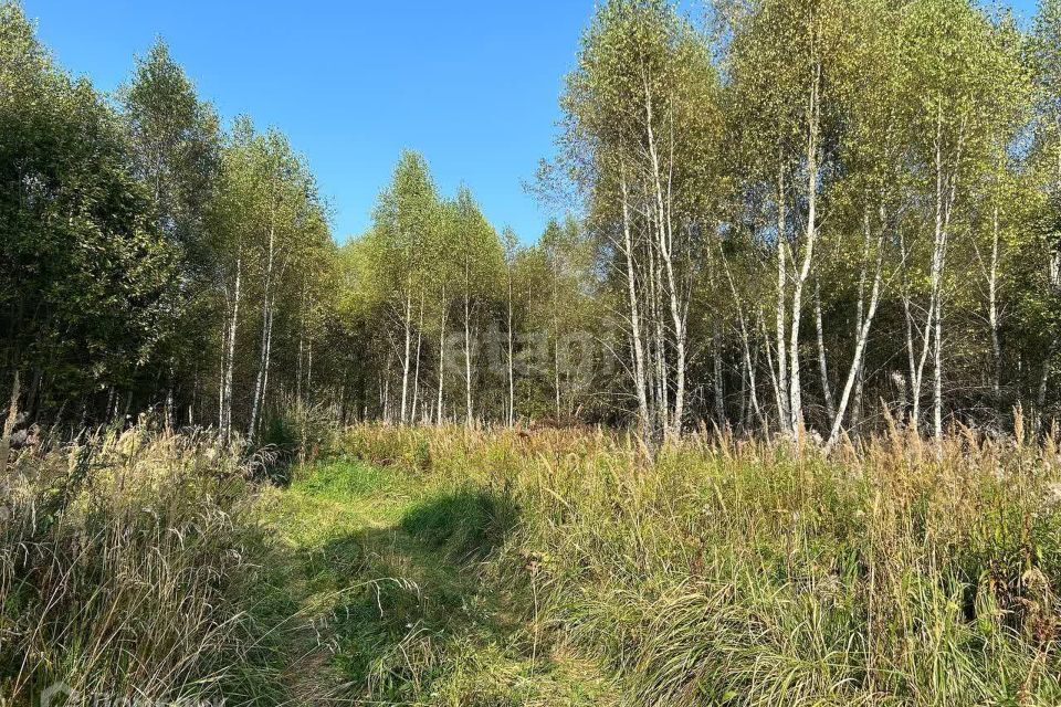 земля городской округ Серпухов ДНТ Лисенки фото 8