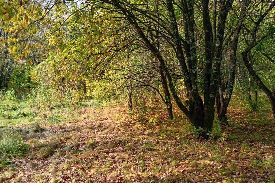 земля городской округ Истра д Глинки ул Спортивная 24 фото 8