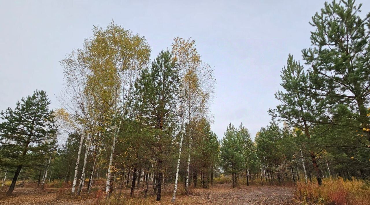 земля р-н Зеленодольский г Зеленодольск снт Трудовик городское поселение Зеленодольск фото 1