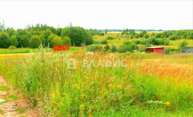 муниципальное образование Павловское, Суздаль фото