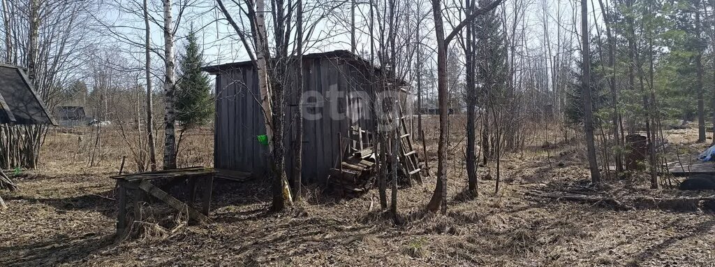 земля р-н Сыктывдинский муниципальное образование Выльгорт, садоводческое товарищество Лесное, 1-й Центральный проезд фото 13