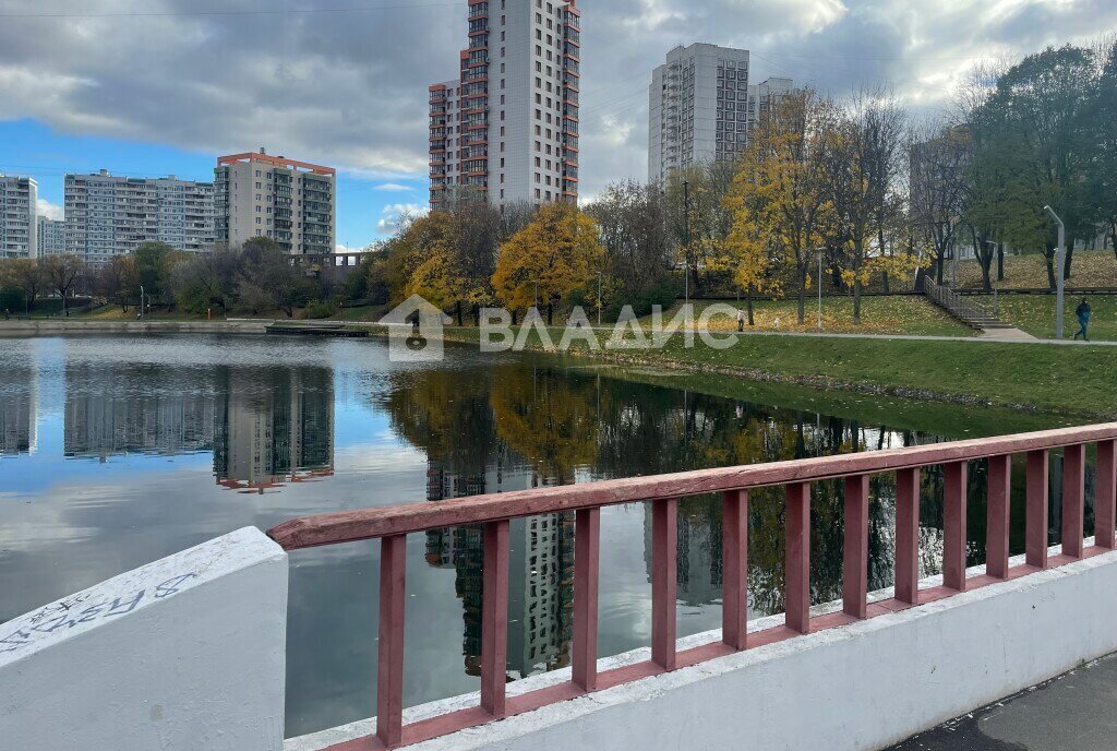 квартира г Москва метро Пражская ул Чертановская 47к/1 муниципальный округ Чертаново Южное фото 19