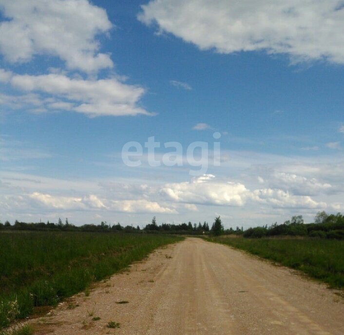 земля р-н Новгородский снт Заречное Панковское городское поселение, садоводческий массив № 3, садоводческое товарищество фото 3