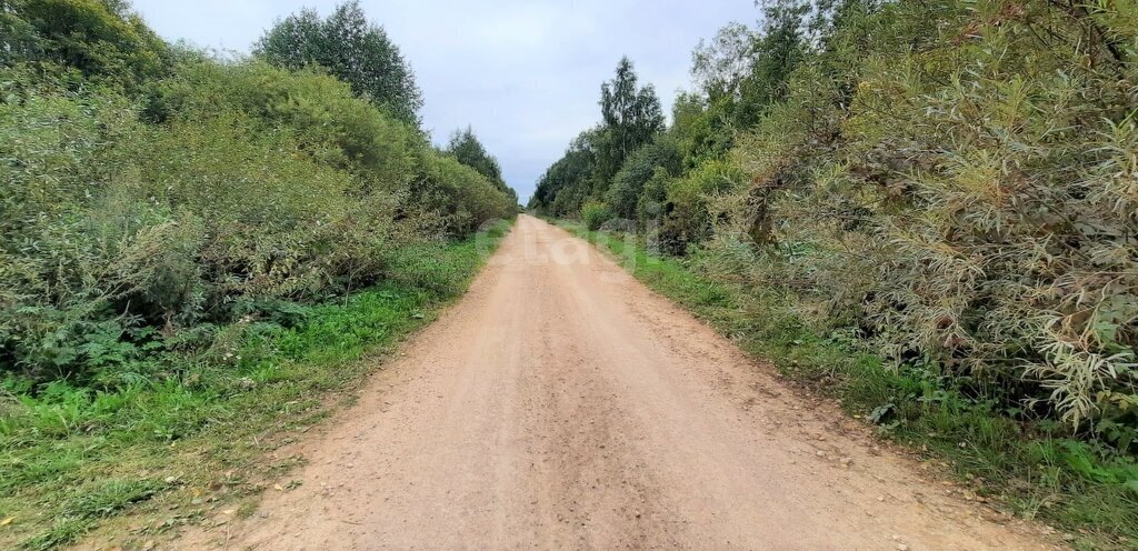 земля р-н Новгородский д Подберезье Трубичинское сельское поселение фото 5