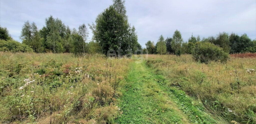 земля р-н Новгородский д Подберезье Трубичинское сельское поселение фото 7