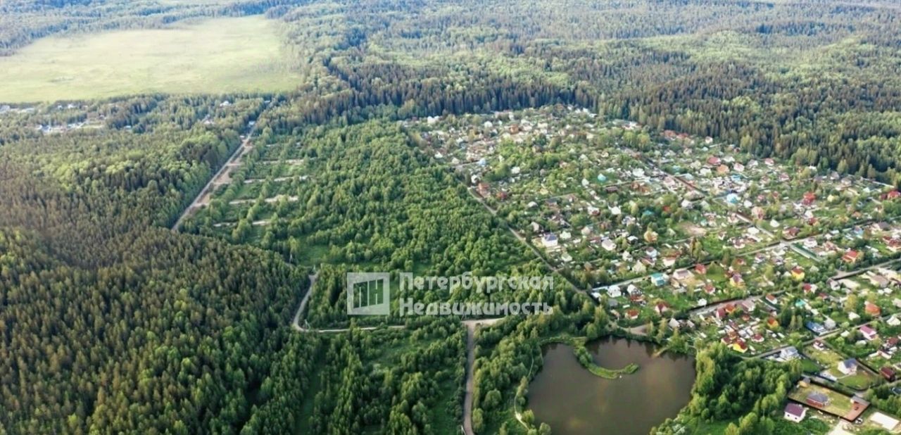 земля р-н Всеволожский д Рохма Лесколовское с/пос, ул. Солнечная фото 6